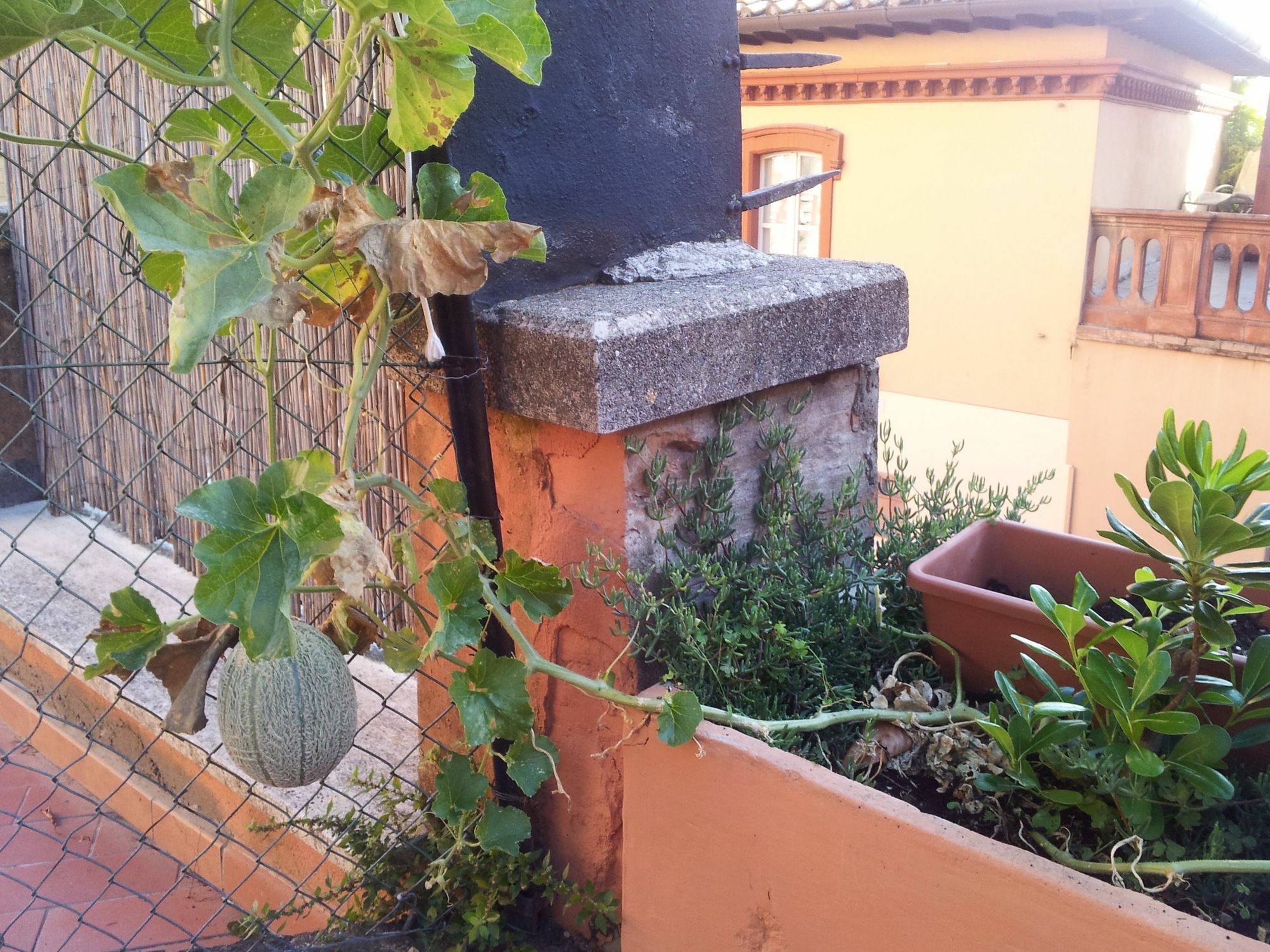 Al Giardino Di Alice Bed & Breakfast Perugia Exterior foto